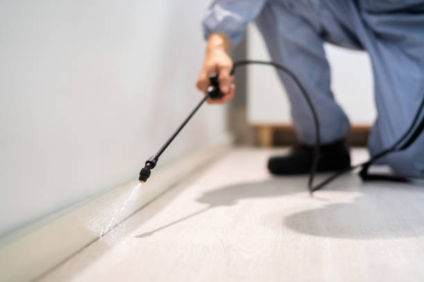 Licensed Termite Control service in Trinity, AL - Nex Pest Control