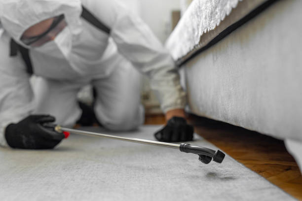 Professional Termite Control technician working in Trinity, AL