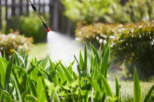24/7 Emergency Termite Control experts in Trinity, AL