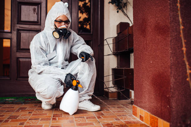 Reliable Termite Control contractor in Trinity, AL by Nex Pest Control